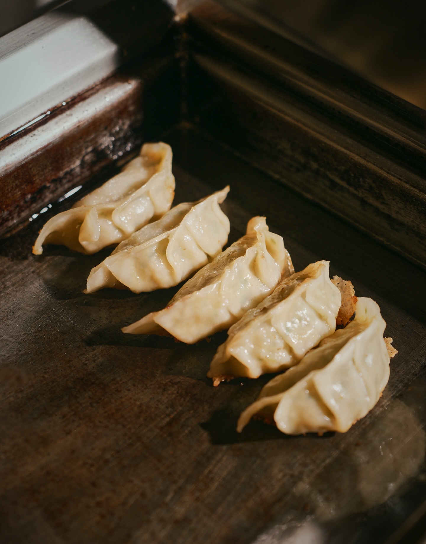 Japanese Gyoza